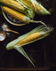 Why can't humans Digest Corn? - The School Blog
