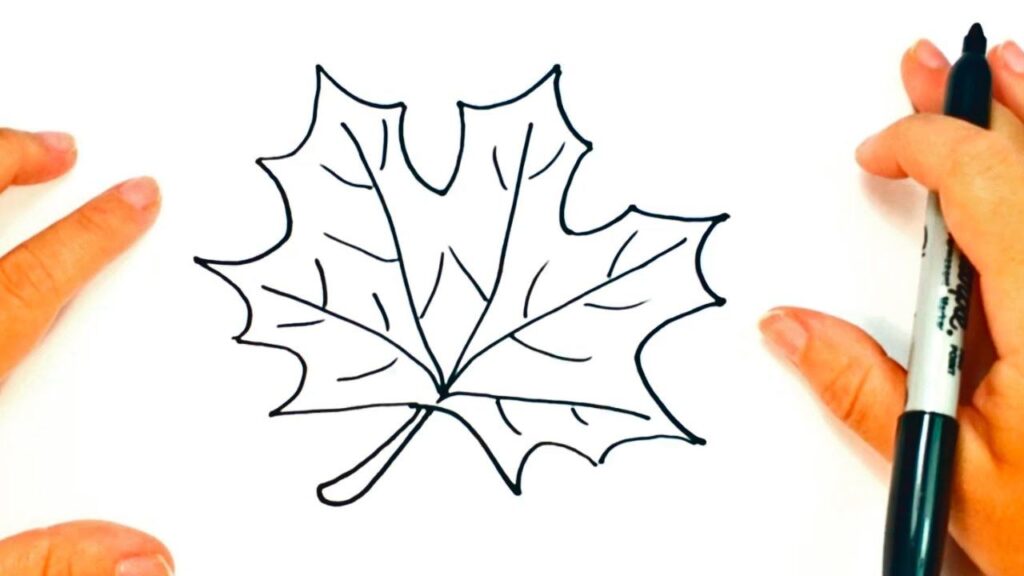 Las líneas curvas a modo de "U" es lo que suele diferenciar las hojas comunes de las hojas de otoño 