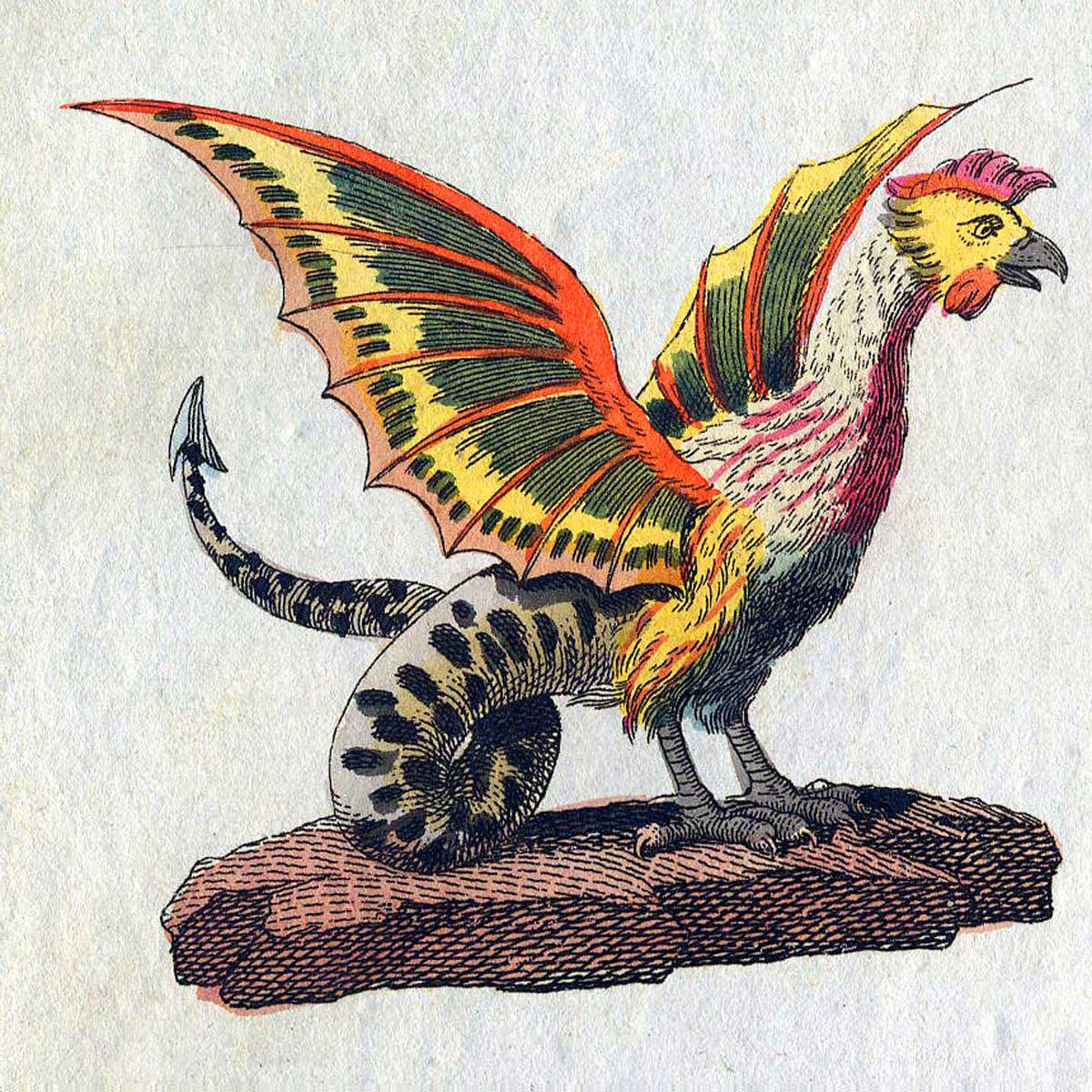 El basilisco es una criatura mitológica nacida de un juego de serpiente incubado por una gallina o gallo.