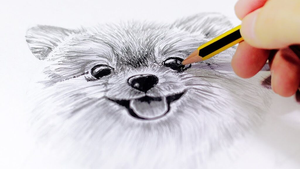 Un animal es sin duda de las mejores opciones cuando te preguntas qué dibujar cuando estás aburrido