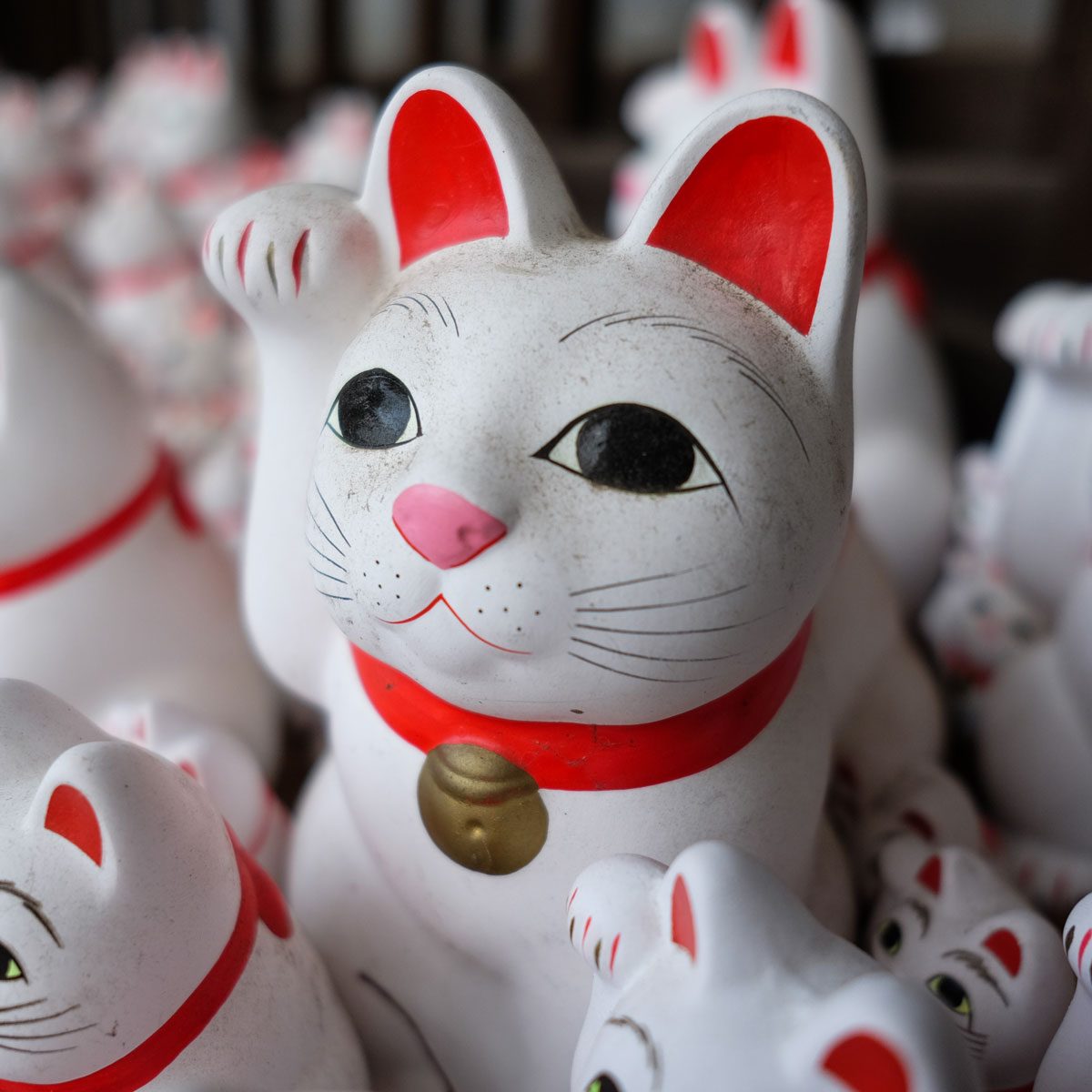El Maneki Neko o gato de la suerte de Japón es sin ninguna duda uno de los símbolos nipones más reconocidos en todo el mundo.