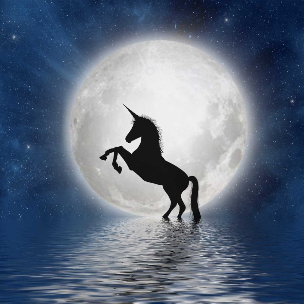 El unicornio es un caballo de la mitología cuya principal característica es su cuerno en la frente.