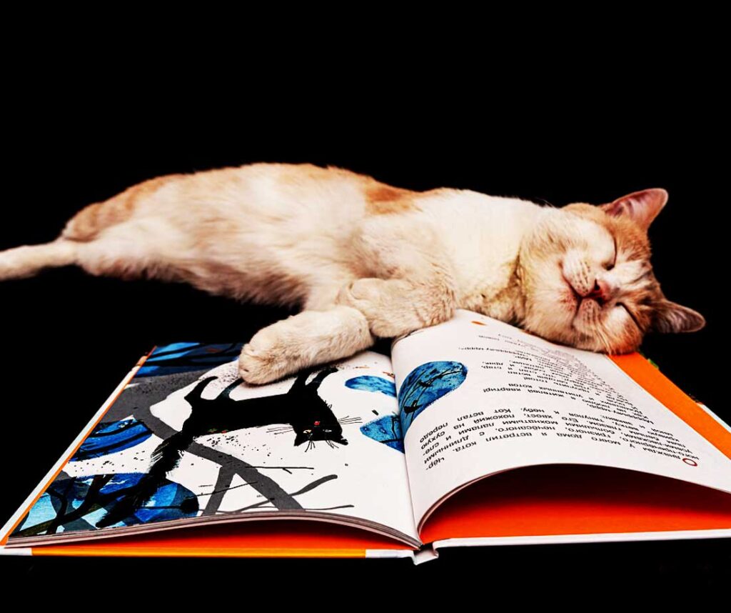 Leer da sueño por distintos motivos explicados por la ciencia. 
